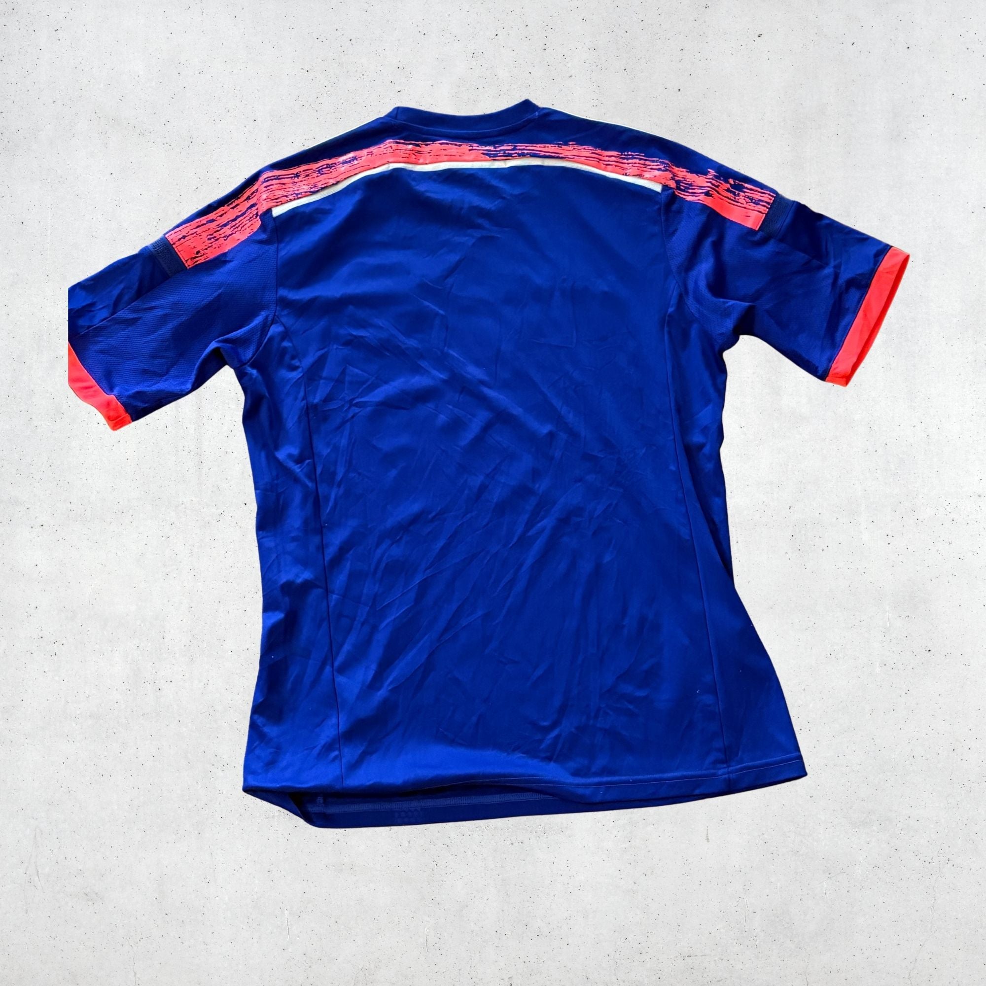 Japan 2013 Home Shirt