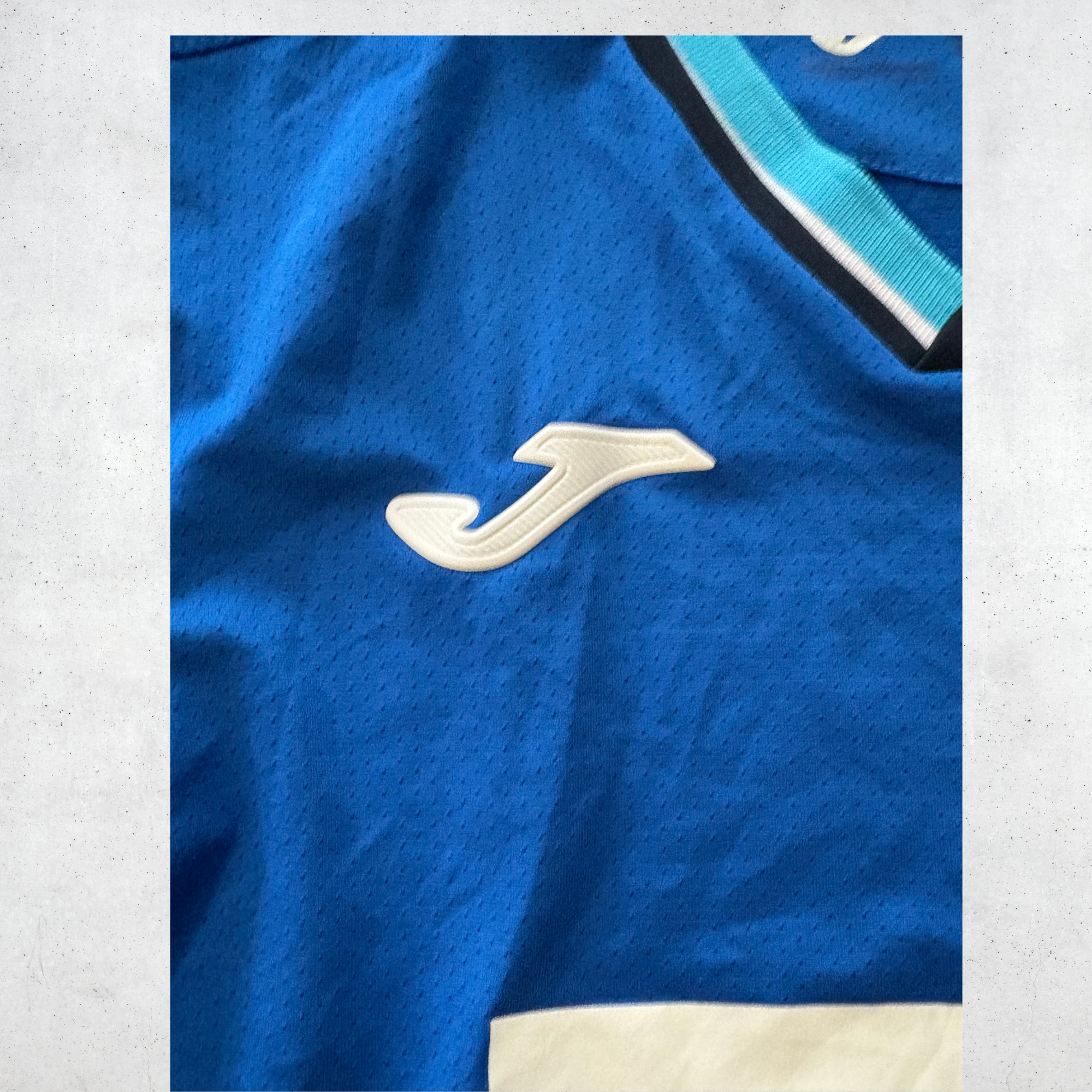 Hoffenheim 2019 Home Shirt