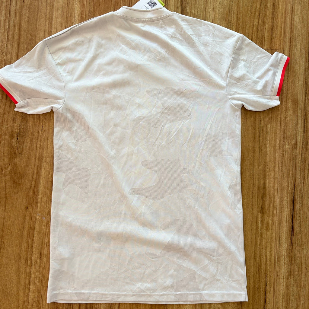 Juventus 2019 Away Shirt (Small)