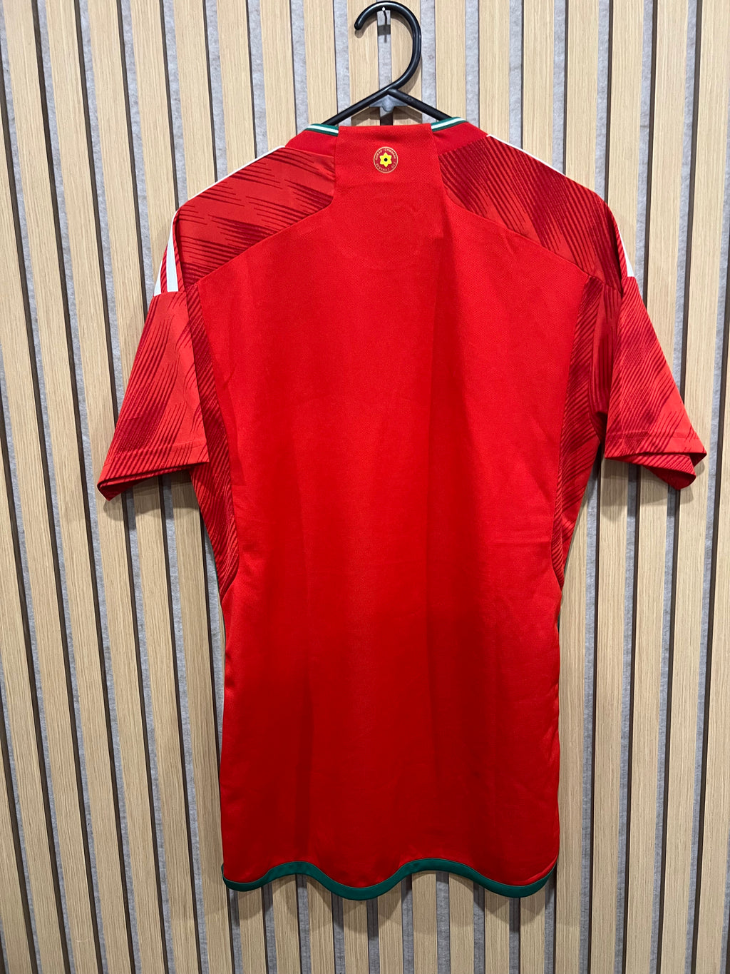 Wales 2022 Home Shirt (Small)